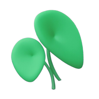 Aloe Vera Extract